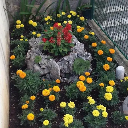 Apartament Smiljka *